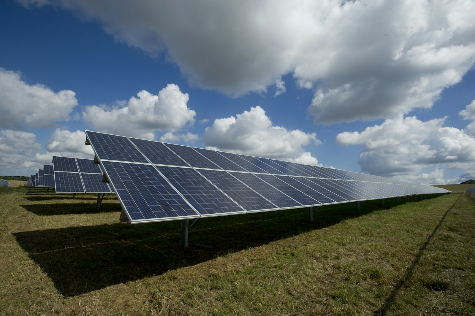Solar panel array in a field